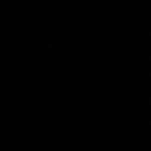 Meet your Posher, Shimeca